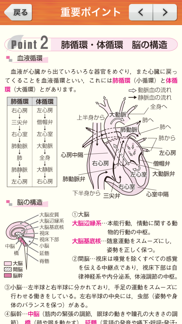 特徴 ０５